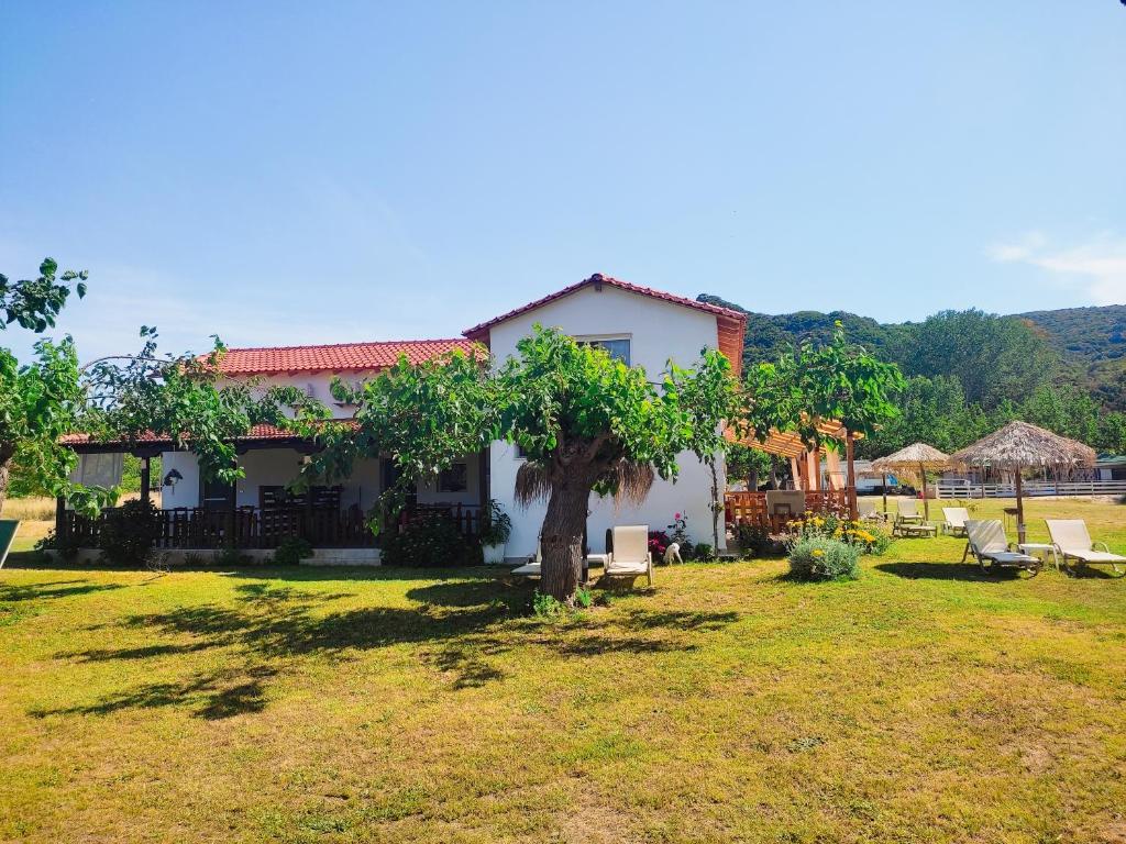 Achilleas Peaceful Place - Εξωτερικός χώρος με κήπο και θέα στο βουνό, Σκάλα Συκιάς Σιθωνία