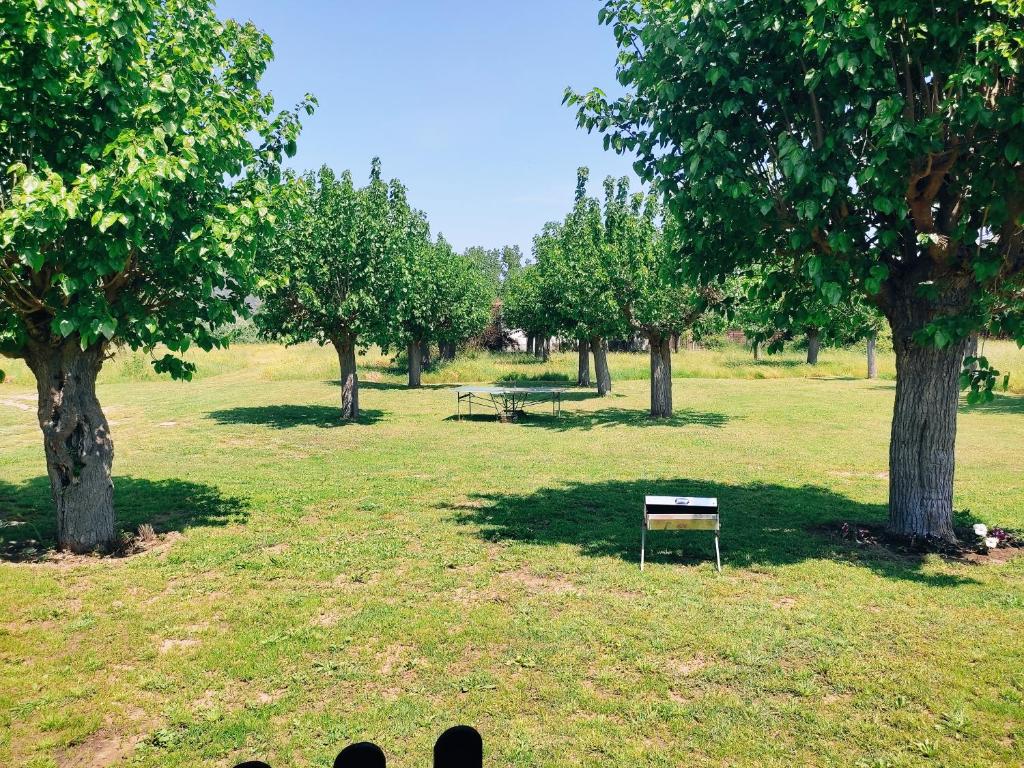 Κήπος με τραπέζι πινγκ πονγκ